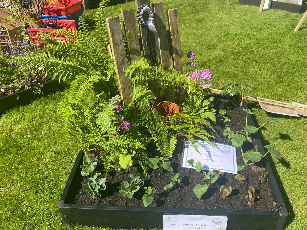 A previous Pallets and Planters entry at Scone Palace